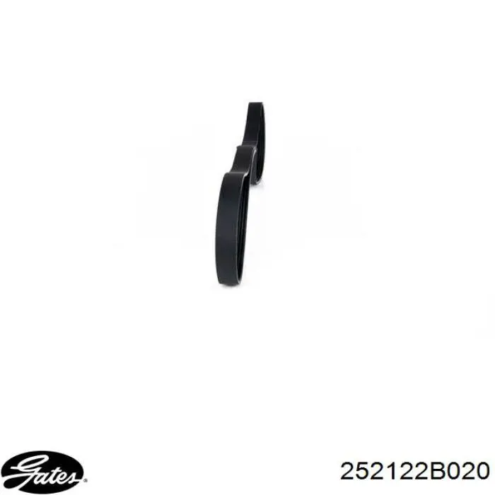 Comprar 6PK1255 Bando Correa trapezoidal