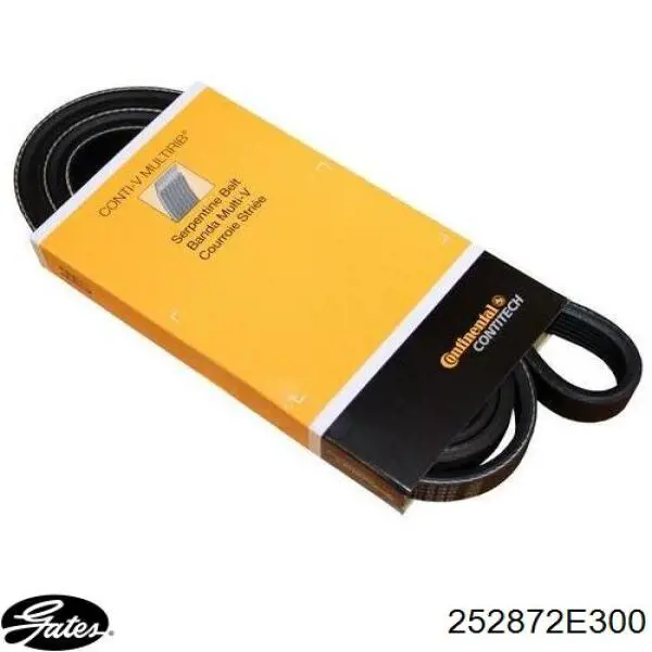 Comprar 252872E300 Gates Polea tensora, correa poli V