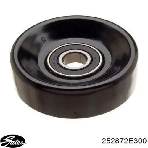 Rodillo tensor correa poli V Gates 252872E300 precio, desde 29,81 EUR