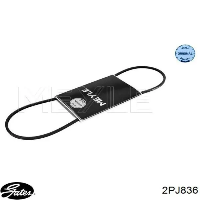 Correa de transmisión trapezoidal Gates 2PJ836 precio, desde 4,33 EUR