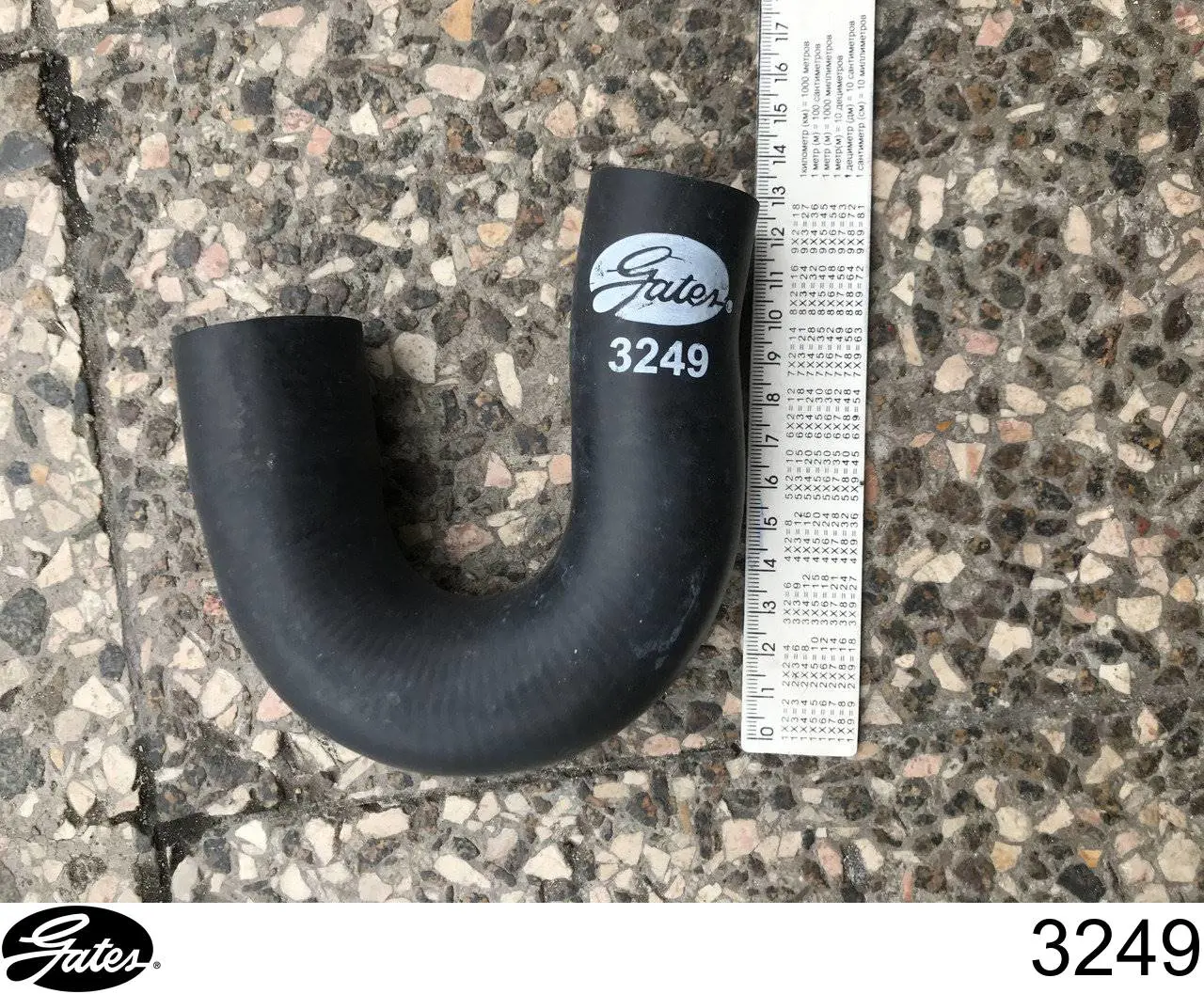 Comprar 3249 Gates Manguera inferior del radiador