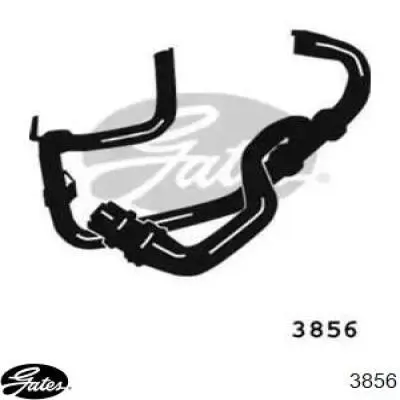 Manguera superior del radiador Gates 3856 precio, desde 43,56 EUR