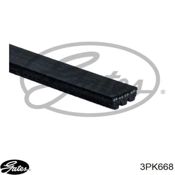46738445 Fiat/Alfa/Lancia Correa poly v