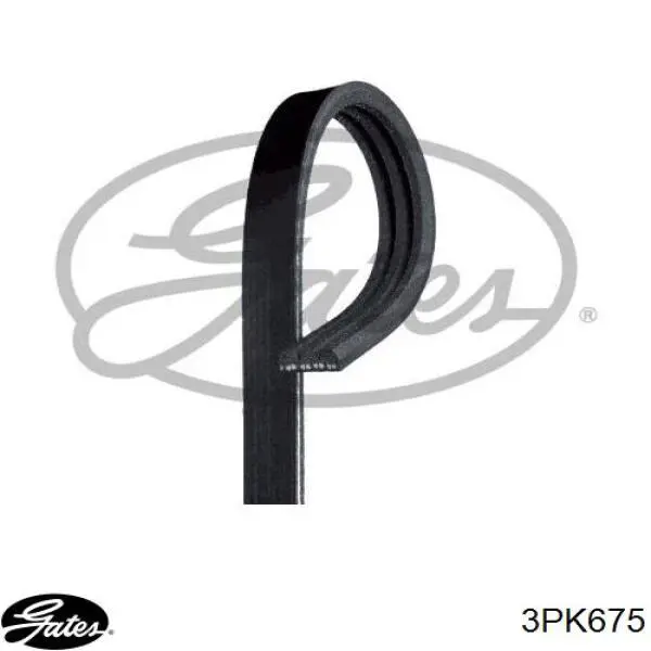 Correa accesorios Japan Parts DV3PK0675