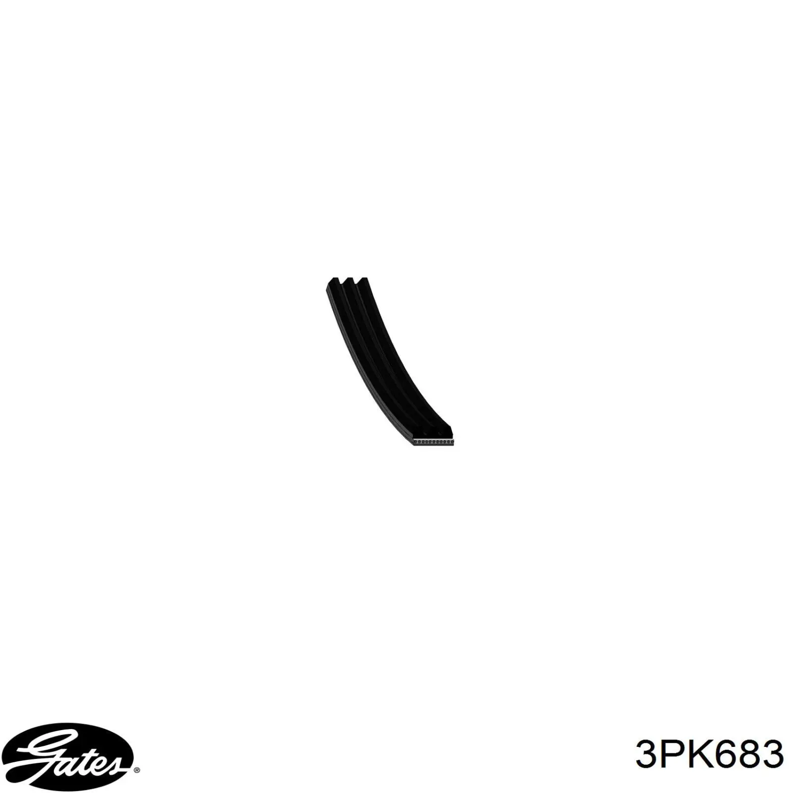 Correa accesorios Ford F5RZ8620A