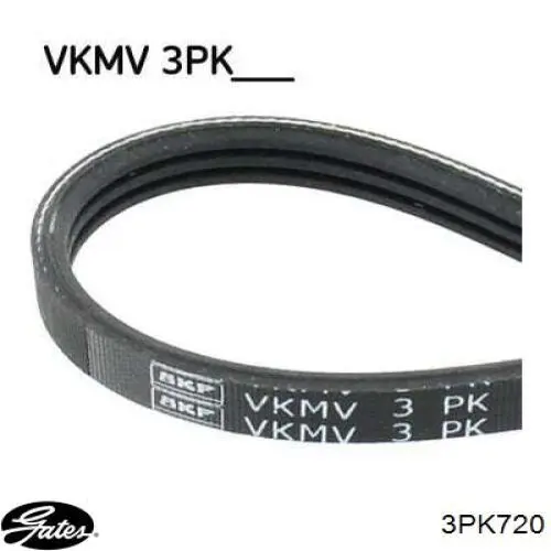 VKMV 3PK719 SKF correa trapezoidal