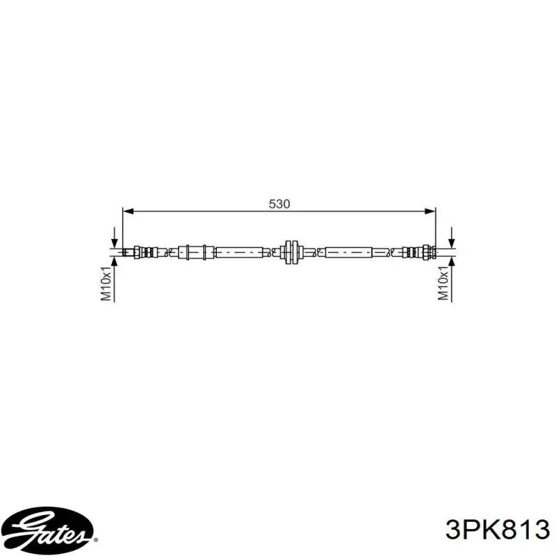 3PK813 Gates correa trapezoidal