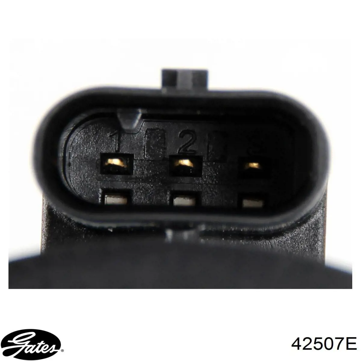 Bomba de agua eléctrica auxiliar Dolz EA512A precio, desde 69,70 EUR