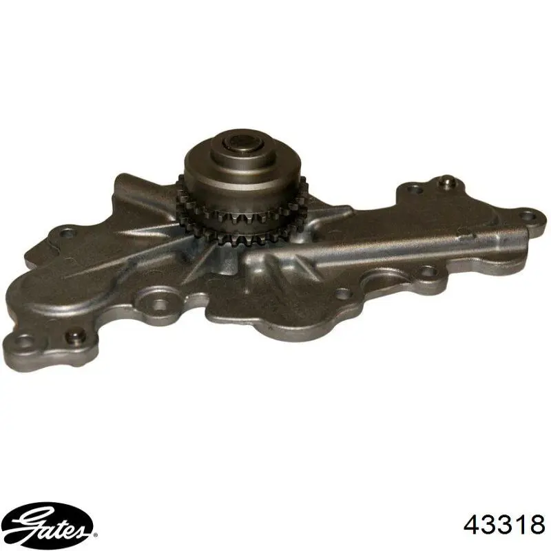 Bombeadora de agua Ford PW533 precio, desde 222,11 EUR