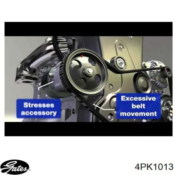 4PK1013 Gates correa trapezoidal