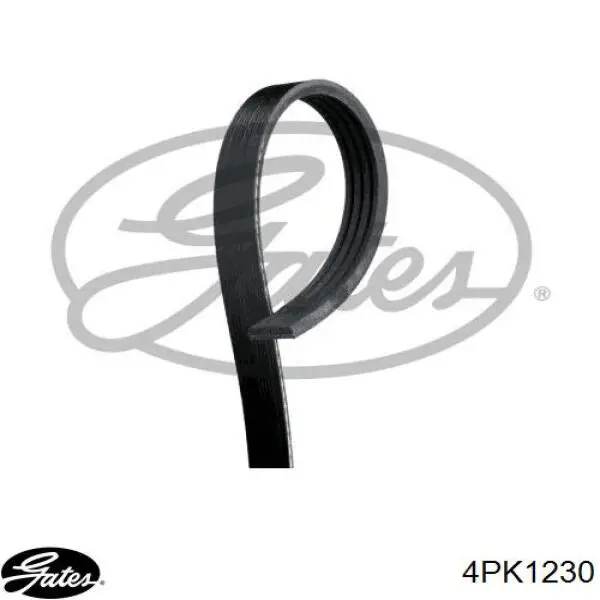 4PK1230 Continental/Siemens Correa poly v