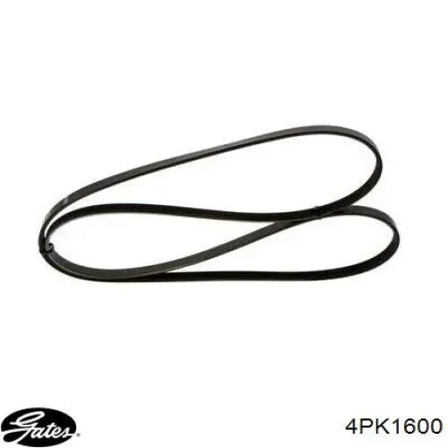Correa de transmisión trapezoidal SKF VKMV4PK1600 precio, desde 12,15 EUR
