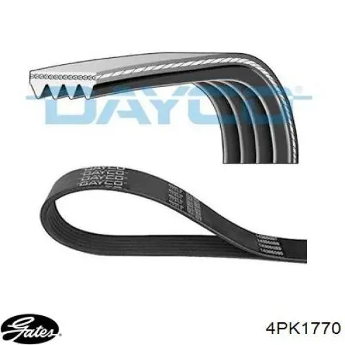 Comprar 4PK1770 Gates Correa trapezoidal