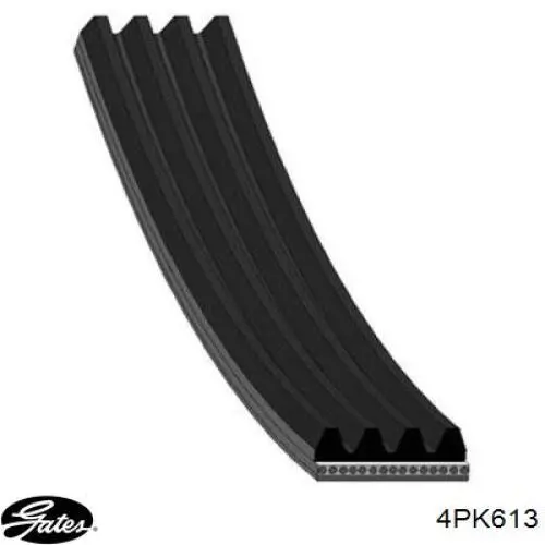 Comprar 4PK613 Gates Correa trapezoidal