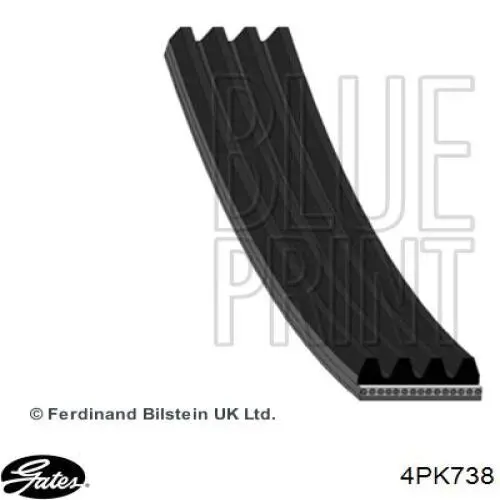 7700870367D Renault (RVI) Correa poly v