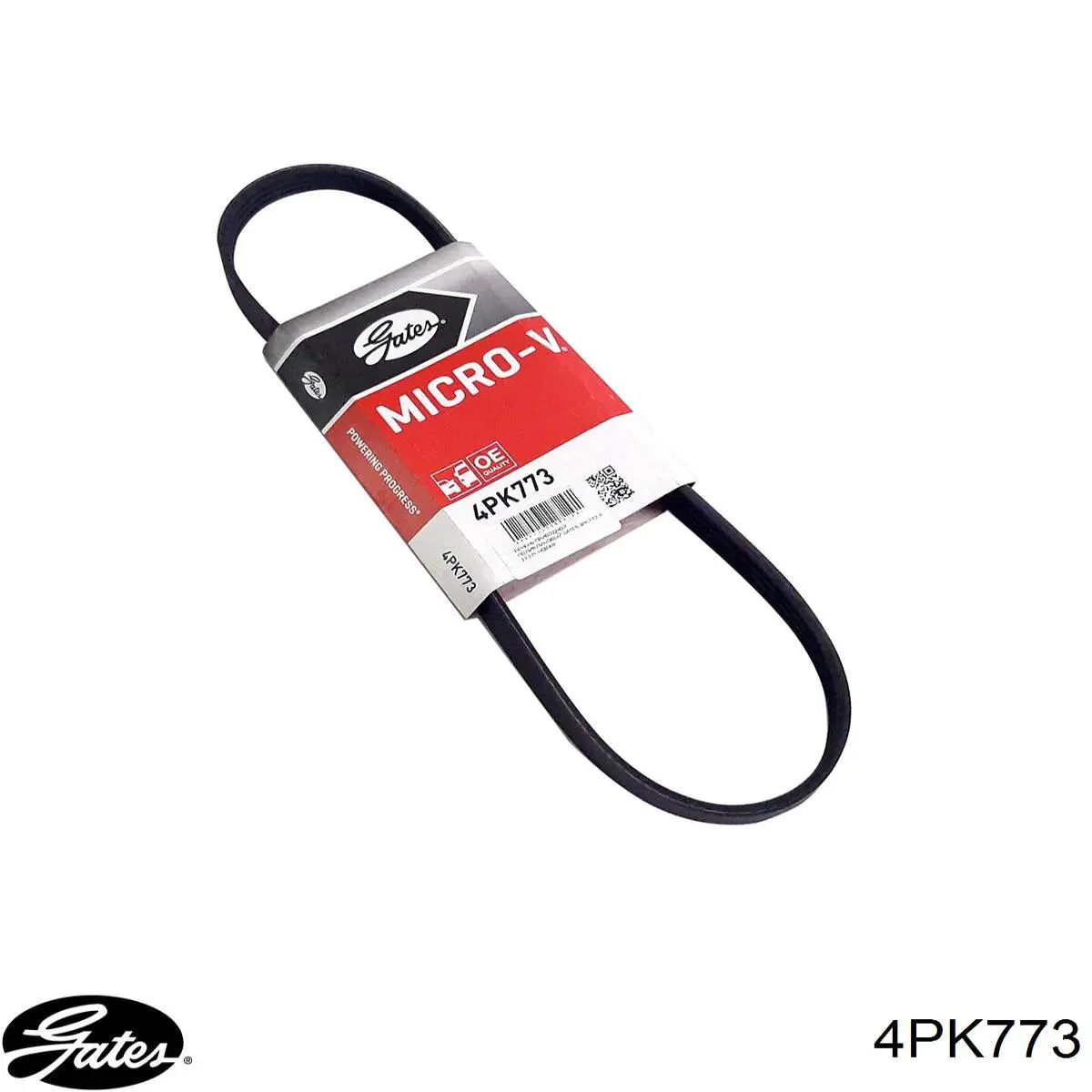 Correa accesorios Nissan/Infiniti 1195031UXM
