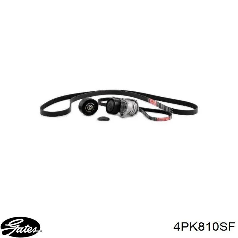 Correa de transmisión trapezoidal BMW 11287791786 precio, desde 11,05 EUR