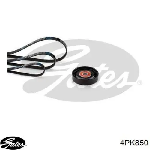 4PK0850 Hyundai/Kia Correa poly v