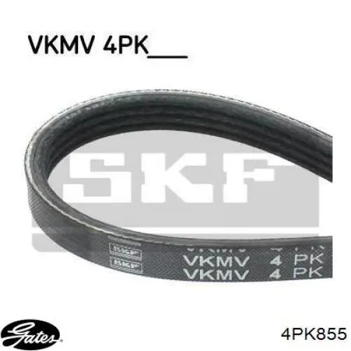 Correa trapezoidal 038260849 VAG