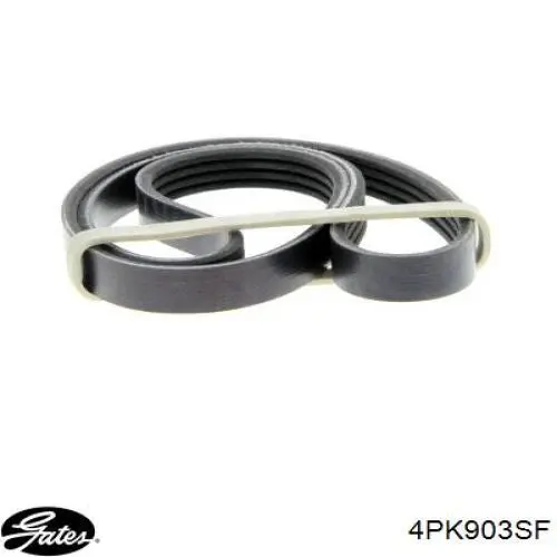 Correa de alternador 5802102136 Fiat/Alfa/Lancia