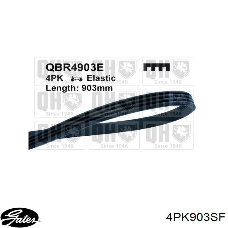 Correa accesorios Fiat/Alfa/Lancia 5802102136
