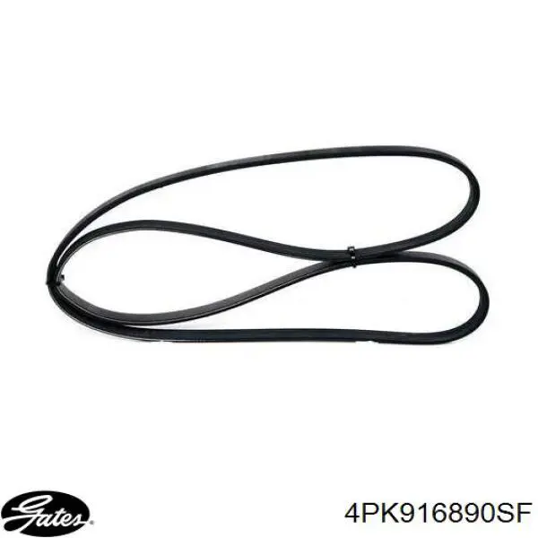 Correa de transmisión trapezoidal Asam 55989 precio, desde 10,19 EUR
