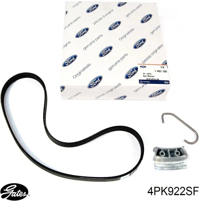 Correa accesorios Ford 6C1Q6C301AC