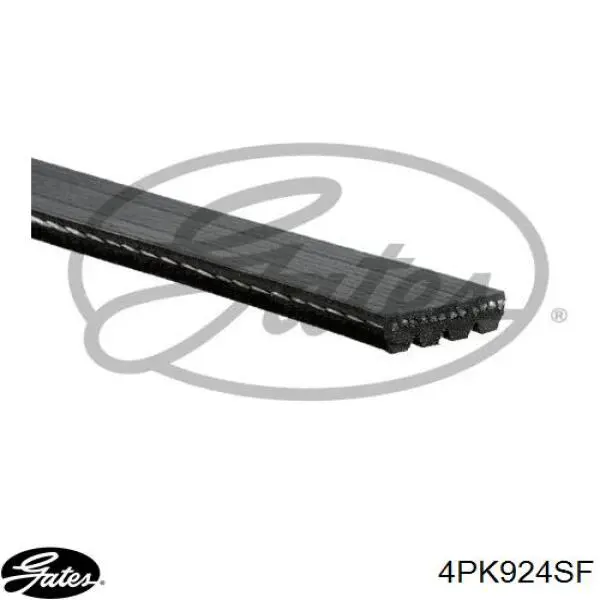Correa de transmisión trapezoidal Mazda CY0115907A precio, desde 13,90 EUR