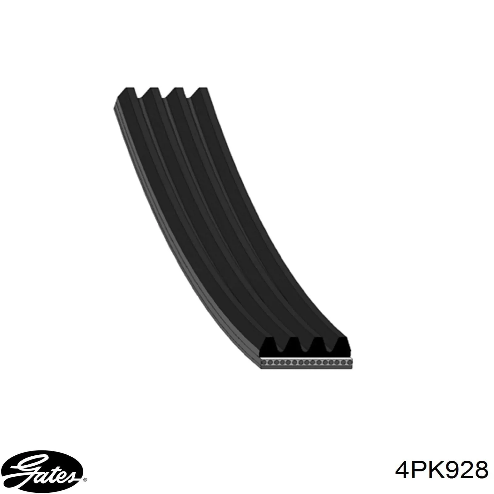 Correa trapezoidal Mazda 626 5 GF