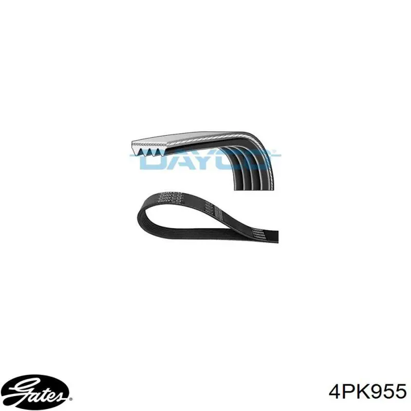 Correa accesorios Peugeot/Citroen 575070