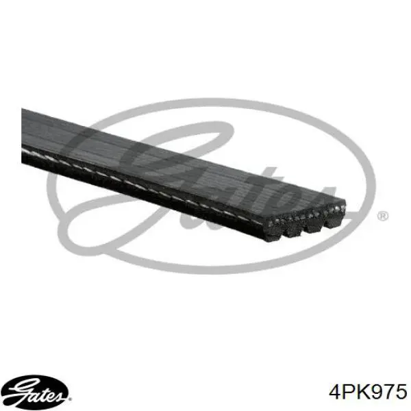 Correa accesorios Chrysler 4573737