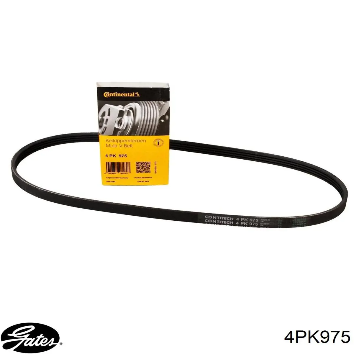 Correa de transmisión trapezoidal Chrysler 4573737 precio, desde 9,47 EUR