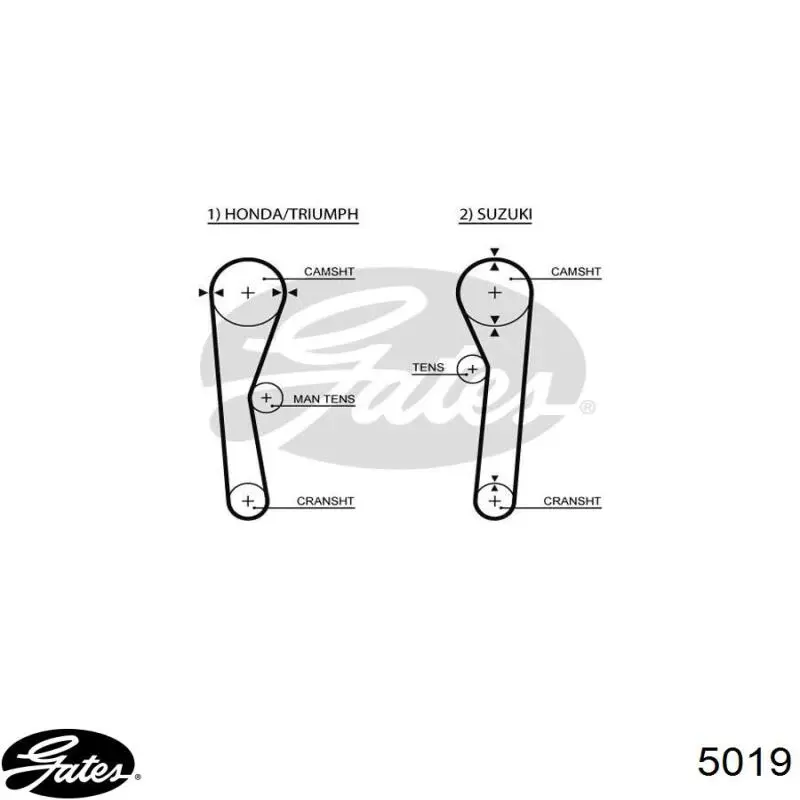 5019 Gates correa distribucion