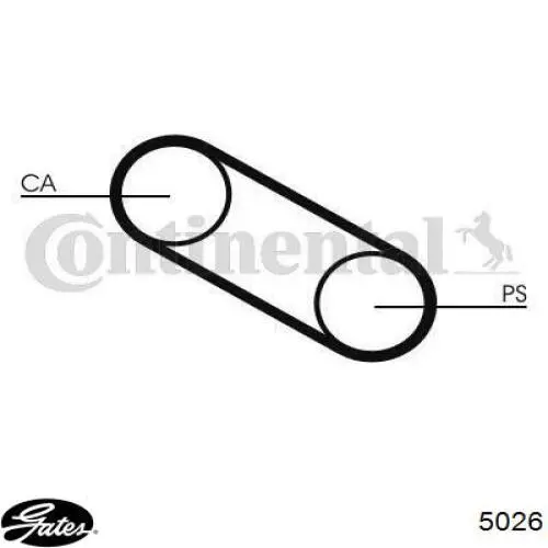 Correa de distribución Gates 5026 precio, desde 9,71 EUR