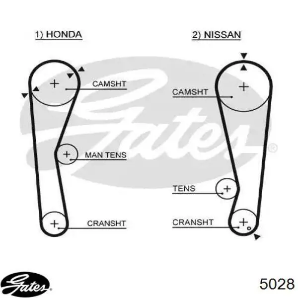 5028 Gates Correa dentada