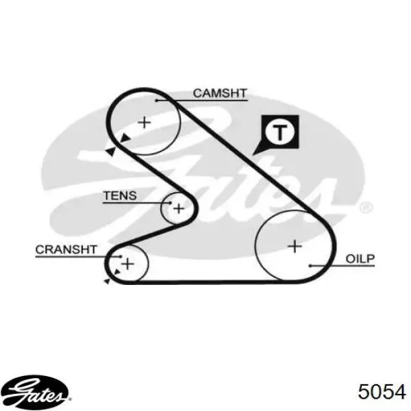 5054 Gates Correa dentada