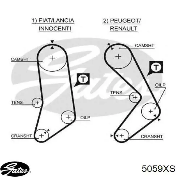 5059XS Gates Correa dentada