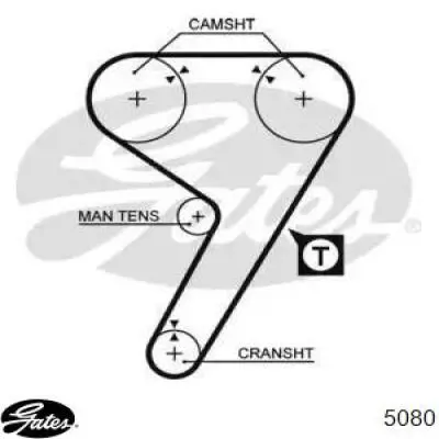 5080 Gates correa distribucion