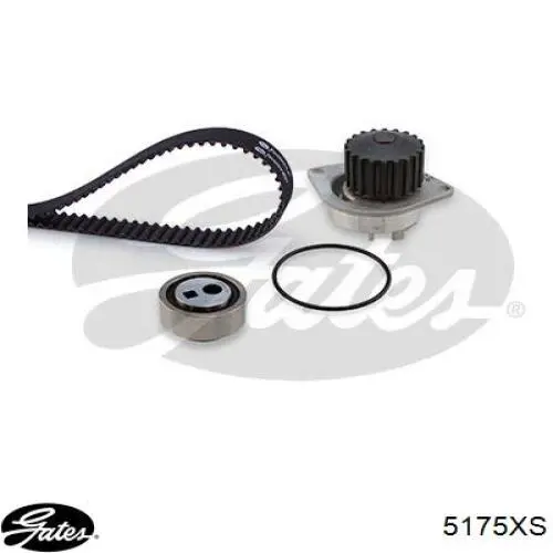Correa de distribución Peugeot/Citroen 081644 precio, desde 15,35 EUR