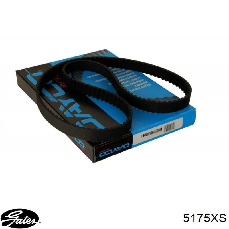 Comprar 081644 Peugeot/Citroen Correa distribución