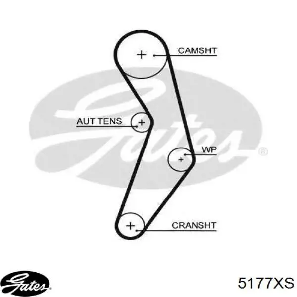 0071719005 Fiat/Alfa/Lancia Correa dentada