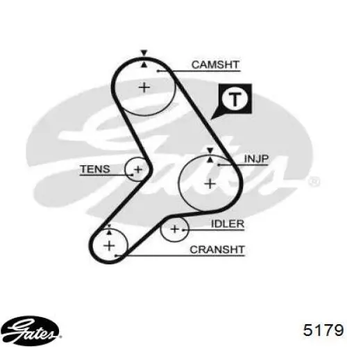 7596960 Fiat/Alfa/Lancia correa distribucion