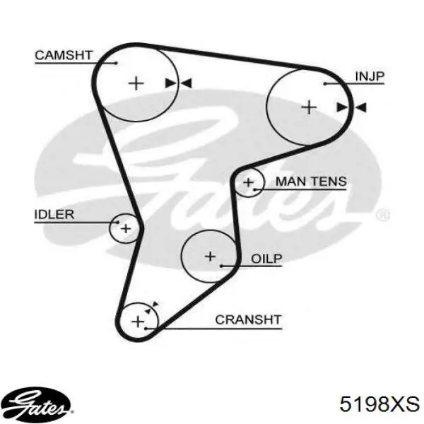 5198XS Gates correa distribucion