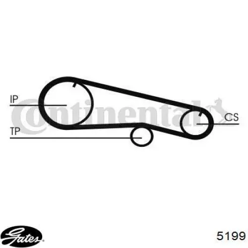 Correa de la bomba de inyección Continental/Siemens CT668 precio, desde 23,75 EUR