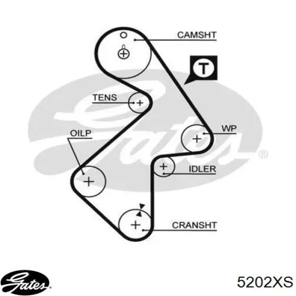 5202XS Gates Correa dentada