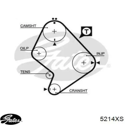5214XS Gates Correa dentada