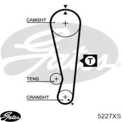 5227XS Gates Correa dentada