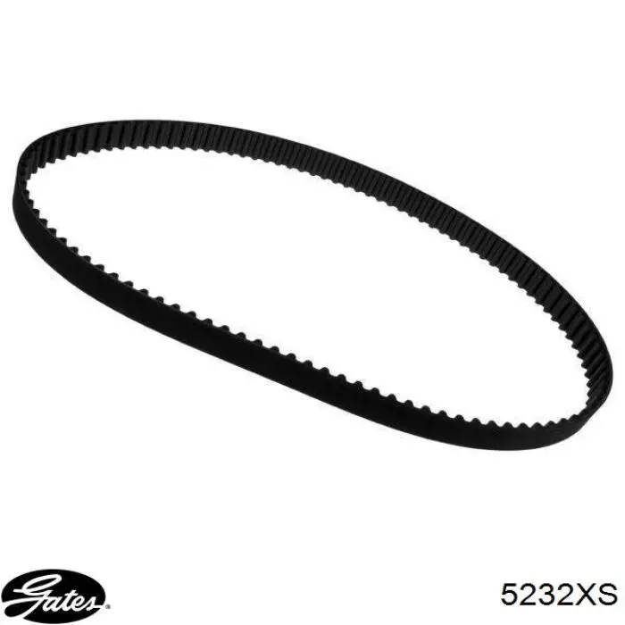 14400PM3004 Honda Correa dentada