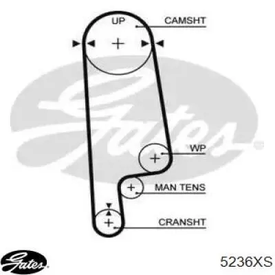 Comprar CT763 Continental/Siemens Correa distribución