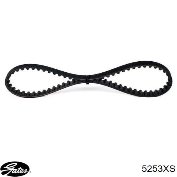 Comprar 5253XS Gates Correa distribución